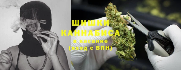 ALPHA-PVP Богородицк