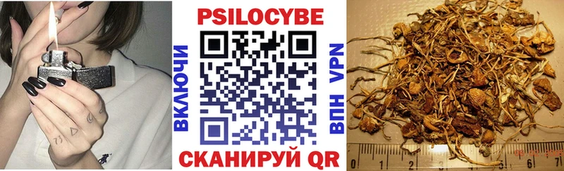 Галлюциногенные грибы мицелий хочу Игра